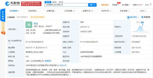 計算機軟件的開發(fā) 從概念到實現(xiàn)的科技之旅